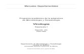 Manual Virolgia 2006 Ybcp