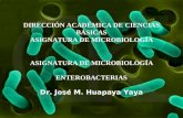 Enterobacterias Clase 4