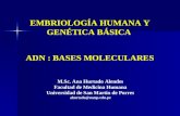 Presentación ADN Bases Moleculares