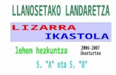 landaretza -herbarioa- 2