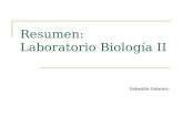 Resumen Lab Oratorio II _ Biología