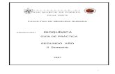 Guia Practica BioquÍmica 2007-II