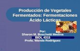 Produccion de Vegetales Ferment a Dos
