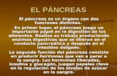 Pancreatitis Ppt