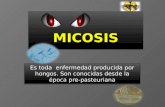 MICOSIS, CANDIDA ALBICANS