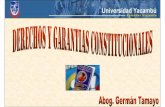 DERECHOS Y GARANTIAS CONSTITUCIONALES
