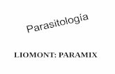 Curso Parasitologia Gt