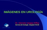 Imagenes en Urologia FACH