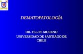 31-Patología Dermatológica inflamatorio