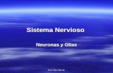Sistema Nervioso Neurona y Glias 9