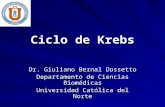 Procesos Biologicos - 13 - Ciclo de Krebs.15.05.09