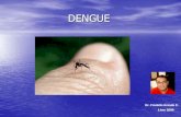 Dengue, clinica, fisiopatologia, diagnostico, tratamiento, prevencion,