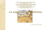 La Organizacion Sistemica