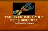 TEORIA CROMOSÓMICA DE LA HERENCIA