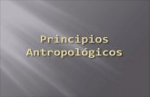 Principios Antropol³gicos
