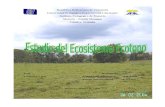 Ecosistema Ecotono