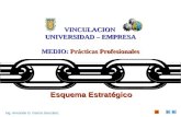 Estrategia VINCULACION UNIVERSIDAD - EMPRESA