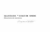 Glucolisis y Krebs Voet y Voet