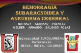 Hemorragia Subaracnoidea y Aneurisma Cerebral