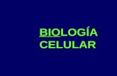 Biologia Celular - vida, célula