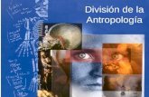 Division de La Antropologia
