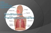 Resumen Síndromes Pleuropulmonares