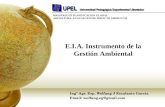 EIA. to Gestion Ambiental
