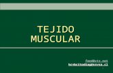 5. Tejido Muscular