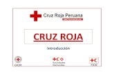 Introducción en Cruz Roja (ICR)
