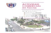 Actividad Comercial en Tacna