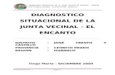 Diagnostico Situacional de La j.v El Encanto