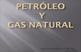Petróleo y Gas natural - CTMA