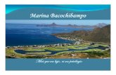 Presentacion Marina Bacochibampo Imprimible 2010 PDF
