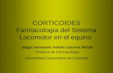 3.Corticoides. Farmacología del Sistema Locomotor en el equino