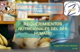 2752 Requerimientos nutricionales Del Ser Humano