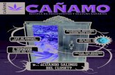 Cañamo Chile #1-Mayo/2005