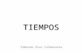 TIEMPOS - Novela Llanera - Autor: Edmundo Díaz Colmenares.
