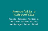 Anencefalia e hidrocefalia