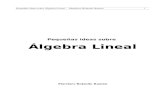 Pequeñas Ideas Sobre Álgebra Lineal