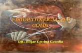 Fisiopatologia Del Coma 2