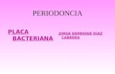 Placa Bacteriana Diana