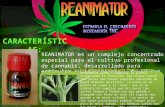 REANIMATOR Grow Estimulante Marihuana