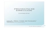 Proyecto de Direccion 2010-14