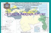 Diapositivas Geologia Cuenca Apures-Barinas