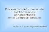 CDG - Cuadro y conformación proporcional de Comisiones parlamentarias (Perú, 2011)
