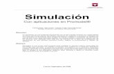 05 Simulación (LEER SOLO HASTA PAGINA 8)