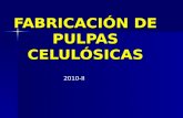 PTQ 02-03 Pulpa y Papel 2010-II