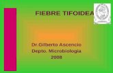 7 fiebre tifoidea