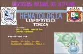 Linfopoyesis Timica Final