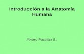 Introducción a la Anatomía Humana